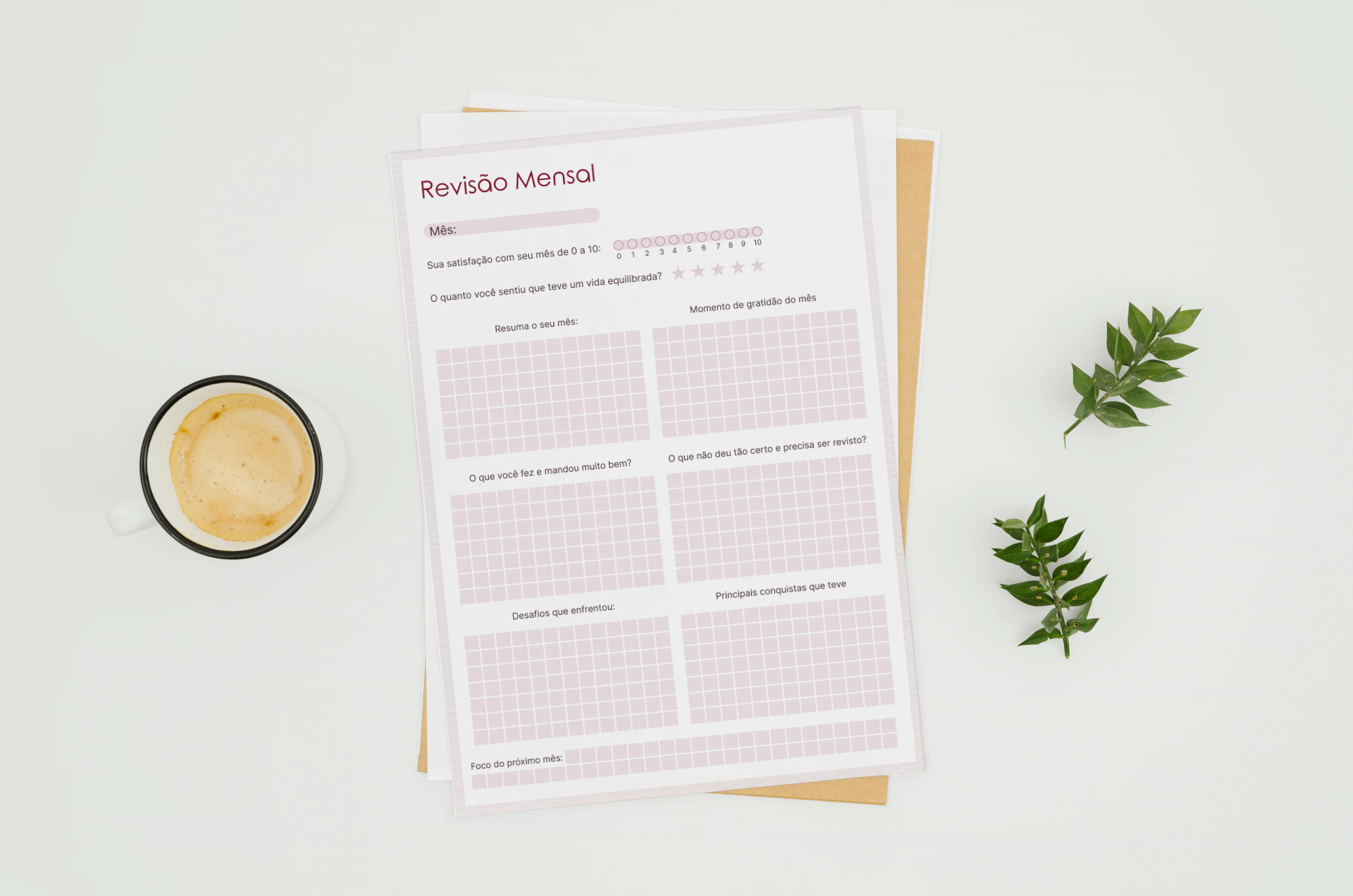 Imagem de uma página pdf de revisão mensal